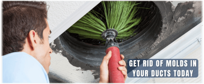 Air Duct Mold Removal in Miami FL