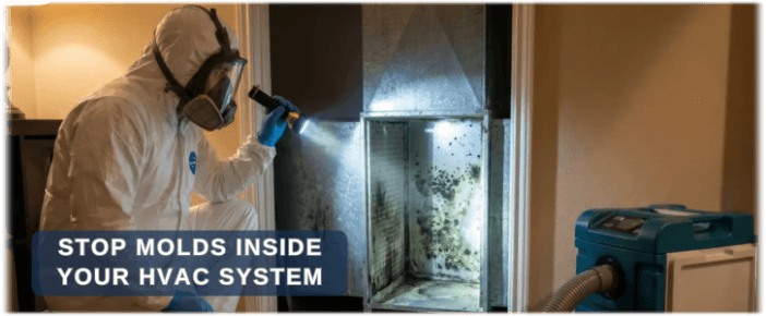 HVAC Mold Removal Miami FL
